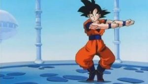 Dragon Ball Z – Episódio 248 (T1)