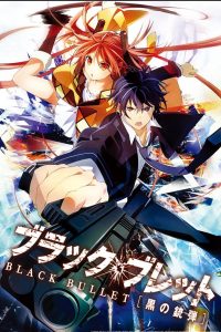 Black Bullet Dublado