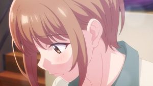 Koi wa Futago de Warikirenai &ndash; Epis&oacute;dio 11 (T1)