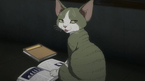 Nyaight of the Living Cat Dublado &ndash; Epis&oacute;dio 7 (T1)